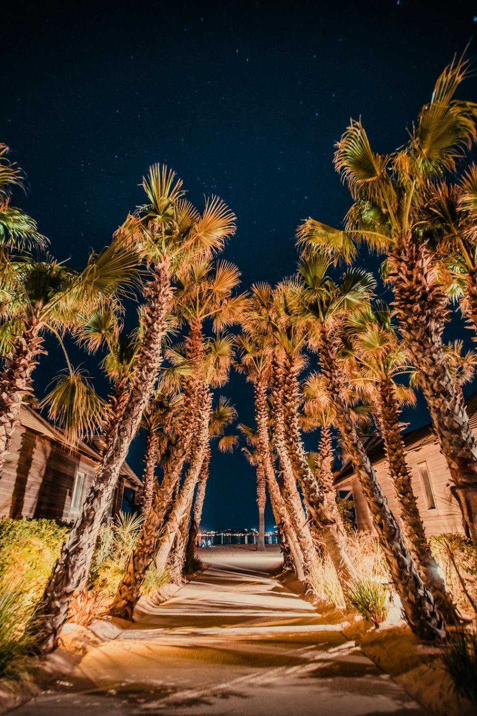 Les Prairies De La Mer Grimaud Exterior foto